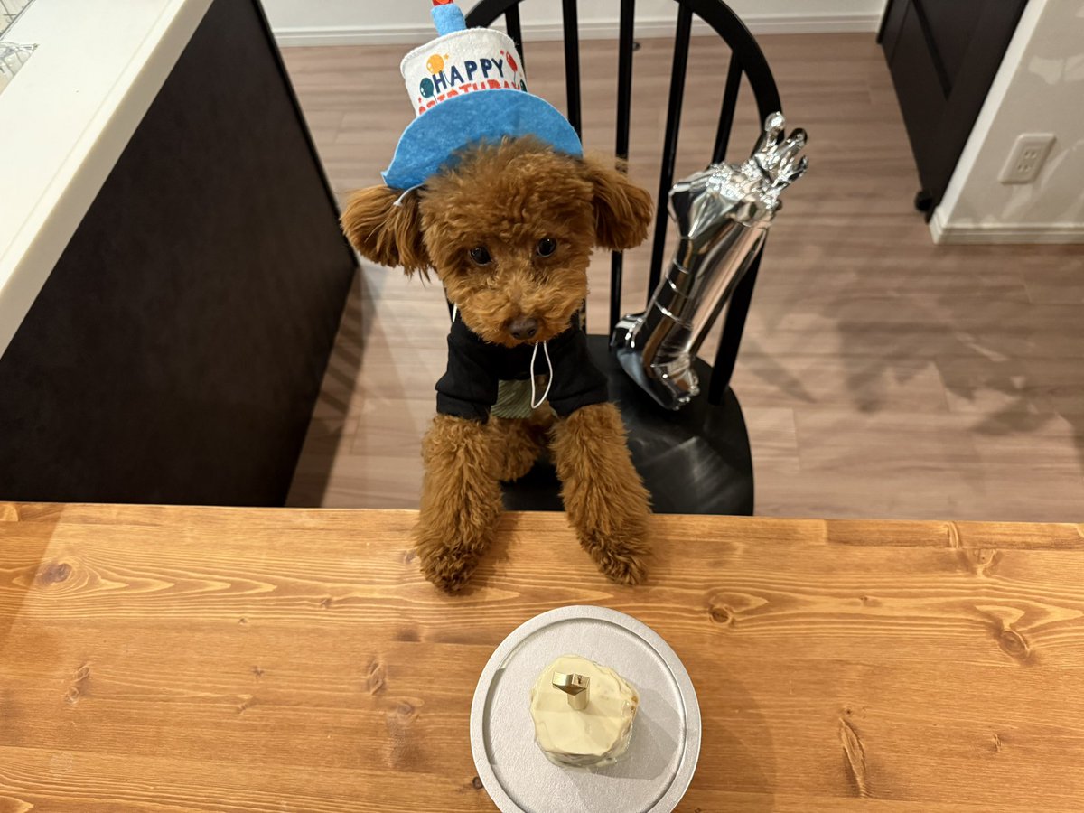 mkt_singalong's tweet photo. 🐶🎂 https://t.co/zHdjH3MLWI