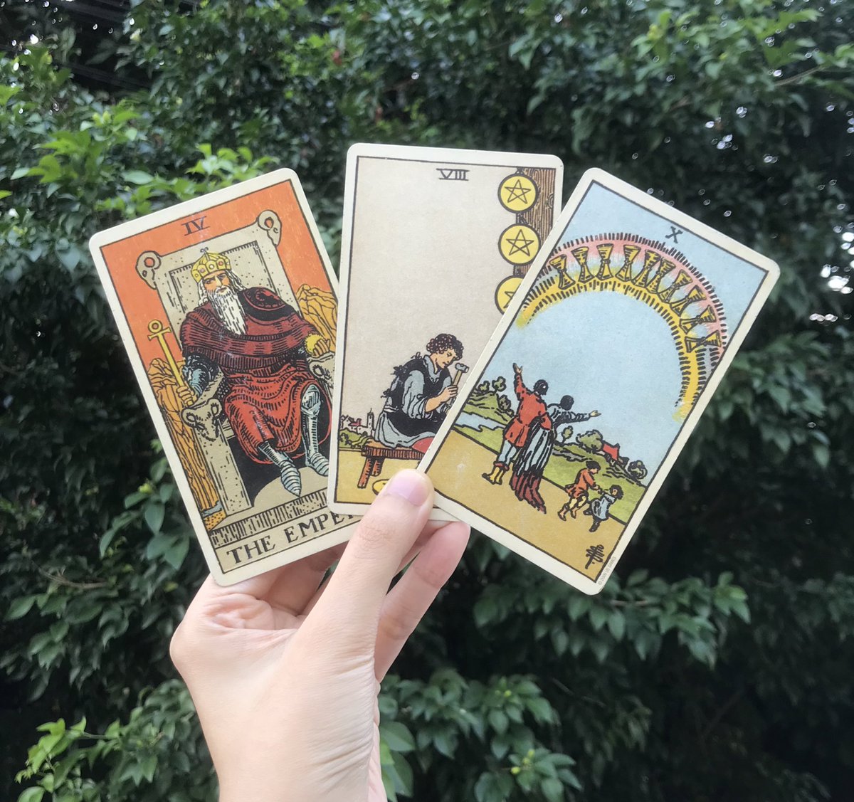 PARI TAROT🪷✨ tweet media