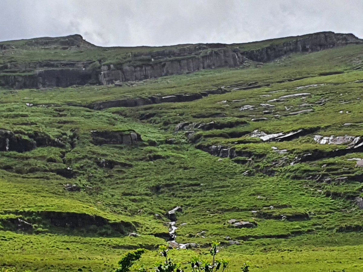 2. Give landowners the option of being paid to rewild.

70% of ireland is farmed, and as things stand, if farmers don't exploit their lands extractively, they don't get farm subsidies.

YOUR taxpayer's money is still directly pushing the death of nature.
