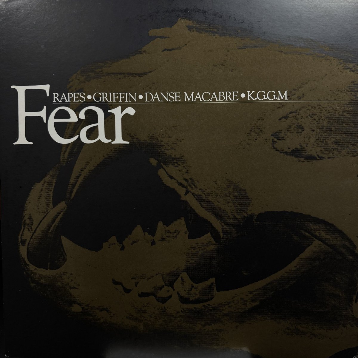 フィアー Fear アルケミー レコード Alchemy ビデオ グリフィン