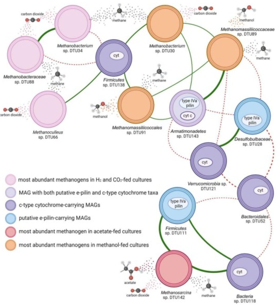 stefano campanaro (@campanarostef) on Twitter photo Amazing collaborative work between <a href="/DtuBioenergy/">DTU-bioenergy</a> <a href="/DiBio_UniPD/">Department of Biology – University of Padova</a> on the influence of conductive materials in anoxic ecosystems and the direct interspecies electron transfer activity in microbial interactions - congrats <a href="/GGiangeri/">Ginevra Giangeri</a> <a href="/IriniAngelidaki/">Irini Angelidaki</a> <a href="/LauraTreu/">Laura Treu</a> sciencedirect.com/science/articl… Amazing collaborative work between <a href="/DtuBioenergy/">DTU-bioenergy</a> <a href="/DiBio_UniPD/">Department of Biology – University of Padova</a> on the influence of conductive materials in anoxic ecosystems and the direct interspecies electron transfer activity in microbial interactions - congrats <a href="/GGiangeri/">Ginevra Giangeri</a> <a href="/IriniAngelidaki/">Irini Angelidaki</a> <a href="/LauraTreu/">Laura Treu</a> sciencedirect.com/science/articl…
