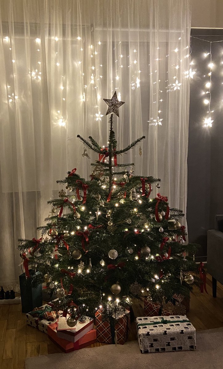 Šių metų  putlutė 🎄✨