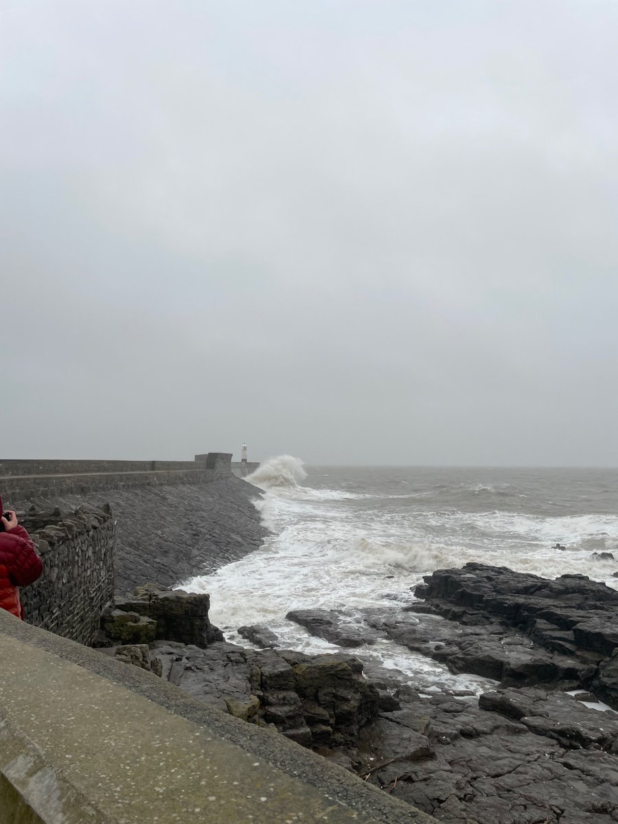 Rees Morrell tweet media