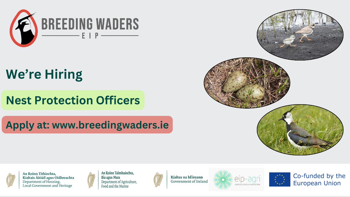 Breeding Waders EIP are currently recruiting Nest Protection Officers. All details and application form available on our website. Check it out  👇👇

breedingwaders.ie

Department of Agriculture, Food and the Marine Department of Housing, Local Government and Heritage