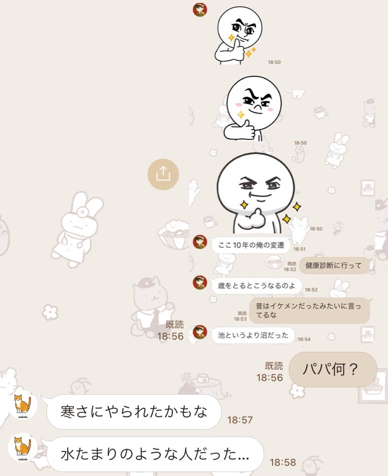概念のチワワ tweet media