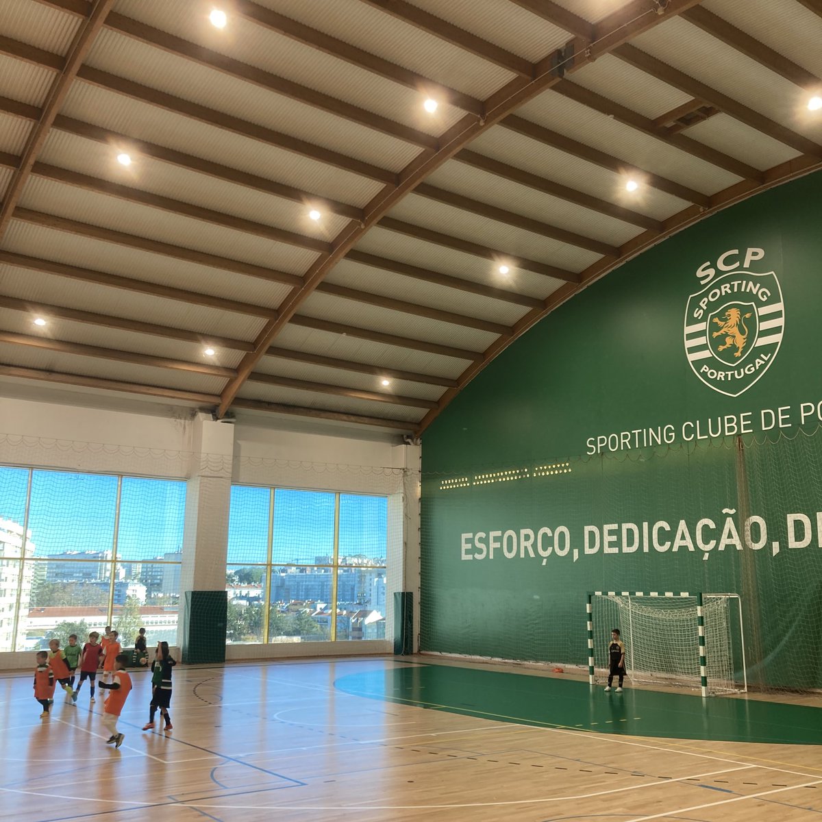 nunovalinhas's tweet image. (É sempre) #DiaDeSporting.

#OpenDaySCP #ModalidadesSCP