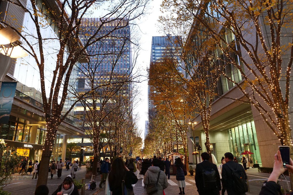 mercvrivs2's tweet image. #みゃる！(*´ω｀*)　#14mm ＆ #24mm
#LUMIX #LumixS1
#SIGMA #Sigma1424f28DgDn