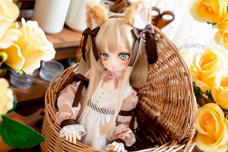 DOLK×MYOU DOLL】🐈世界30体限定🐈 トラ猫 Sandraがコラボ限定ドール