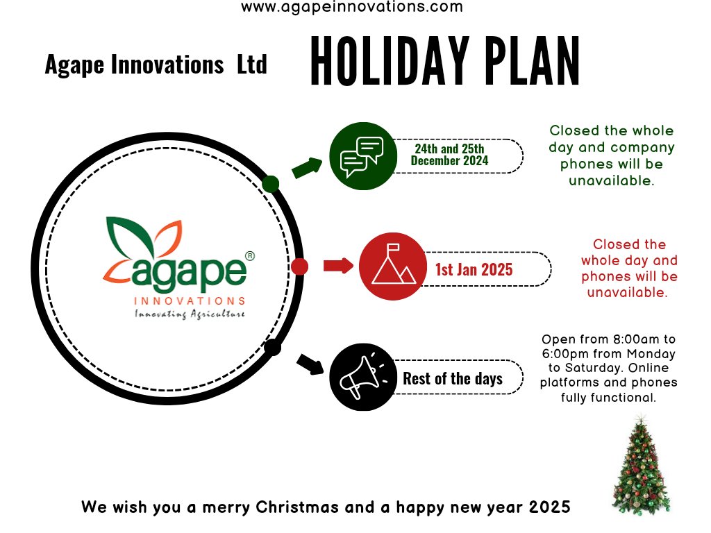 A merry Christmas to you all..