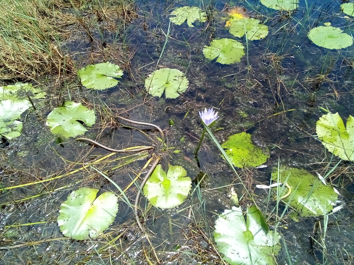 info4u2use's tweet image. Common sense is in short supply and the online marketing folks are being sent to the back of the line, just because.....just because tv and radio folks appear to be better options.

Online marketing has #SemanticConnectedness issues that confuse the folks at the top of the ladder