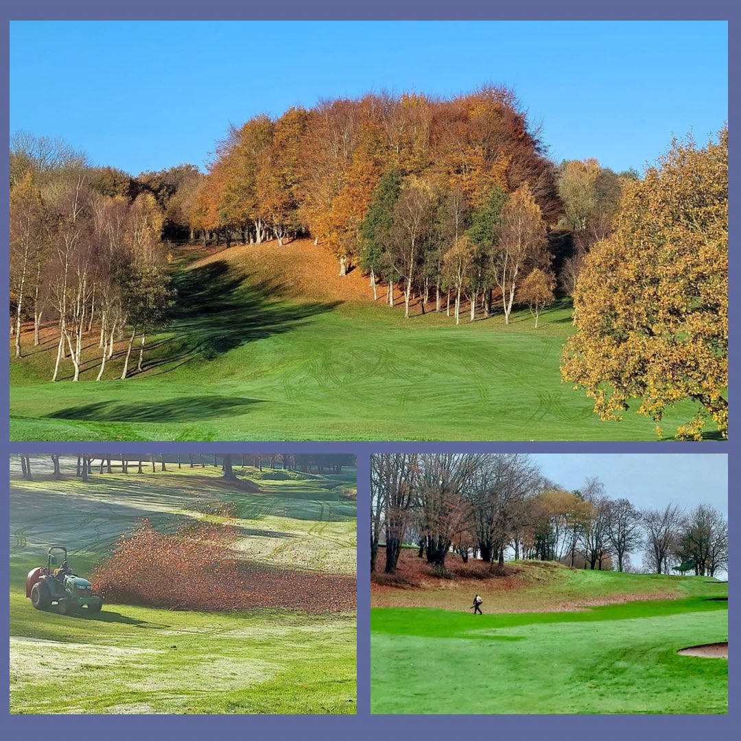 🍂 LEAF COLLECTING 🍂

A never ending task for the greens team keeping the course clear of leaves for play! 

As ground conditions become softer, the more labour intensive it gets moving from 🚜💨 to🚶‍♂️‍➡️💨

#prestongolfclub #coursework #greenkeeperslife #courseworkhelp