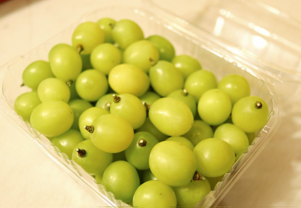 RT 이벤트🌱
농사 짓는 고양이 2024년 마지막 할인 들어갑니다!
샤인머스켓 알알이 2kg 19,000원 → 16,000원
택배비 무료😉

샤인머스켓 구매하러가기↓↓
naver.me/IGJ7bOMy

RT해주신 두 분께 알알이 2kg 씩 보내드립니다♥