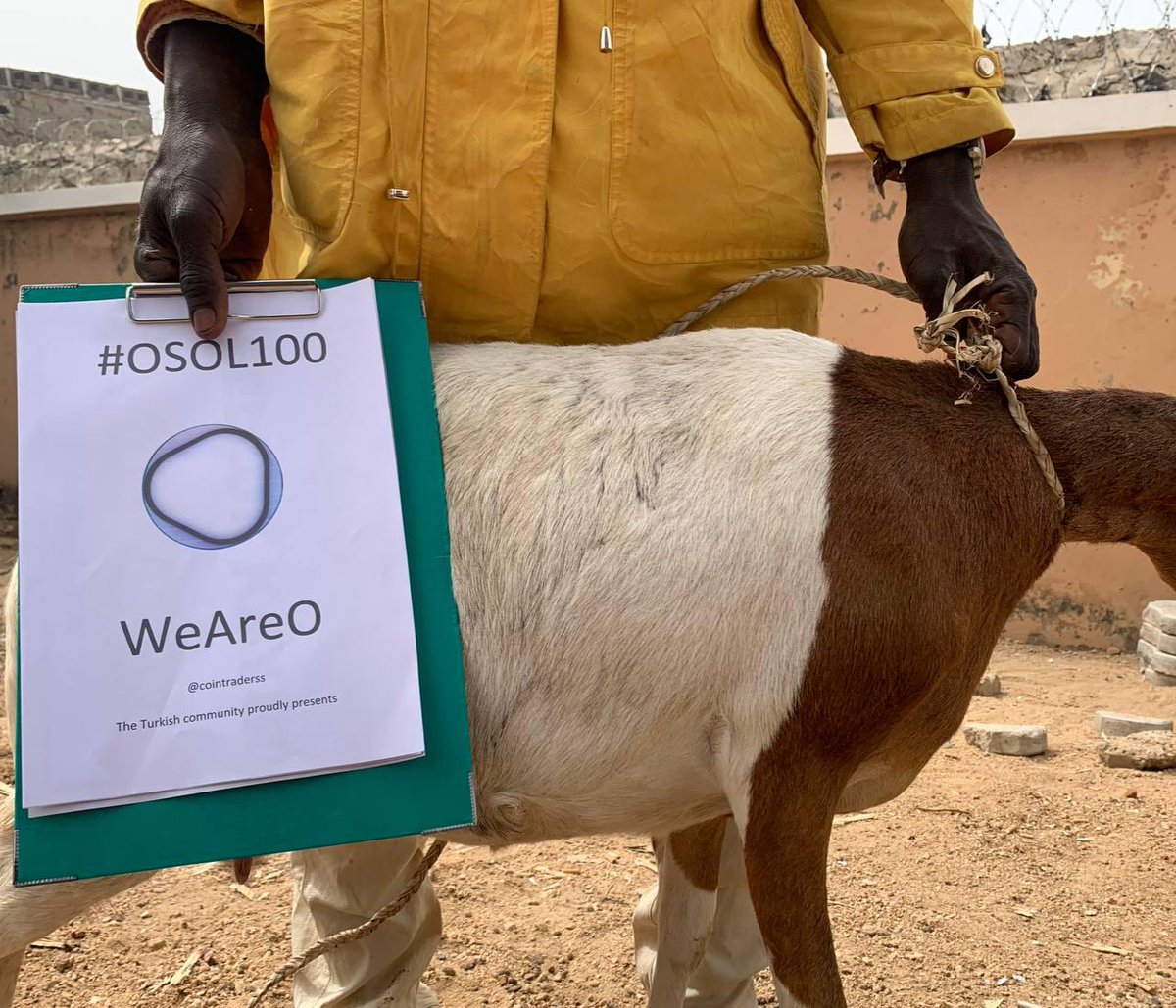 cointraderss's tweet photo. I made a great profit with #OBOT token. I think there will be much more success in #OSOL100. Thanks to the whole team led by @shadid_io and @SuperMissO. We distributed Qurban to the needy in a poor country for your benefit. If I can get #OSOL100 WL, I will do more.

❗️Happy child beautiful world

#WeAreO
@MisterNarcos @ahmadMukheimer @Abrlien @o_fndn @OBOT_OFFICIAL