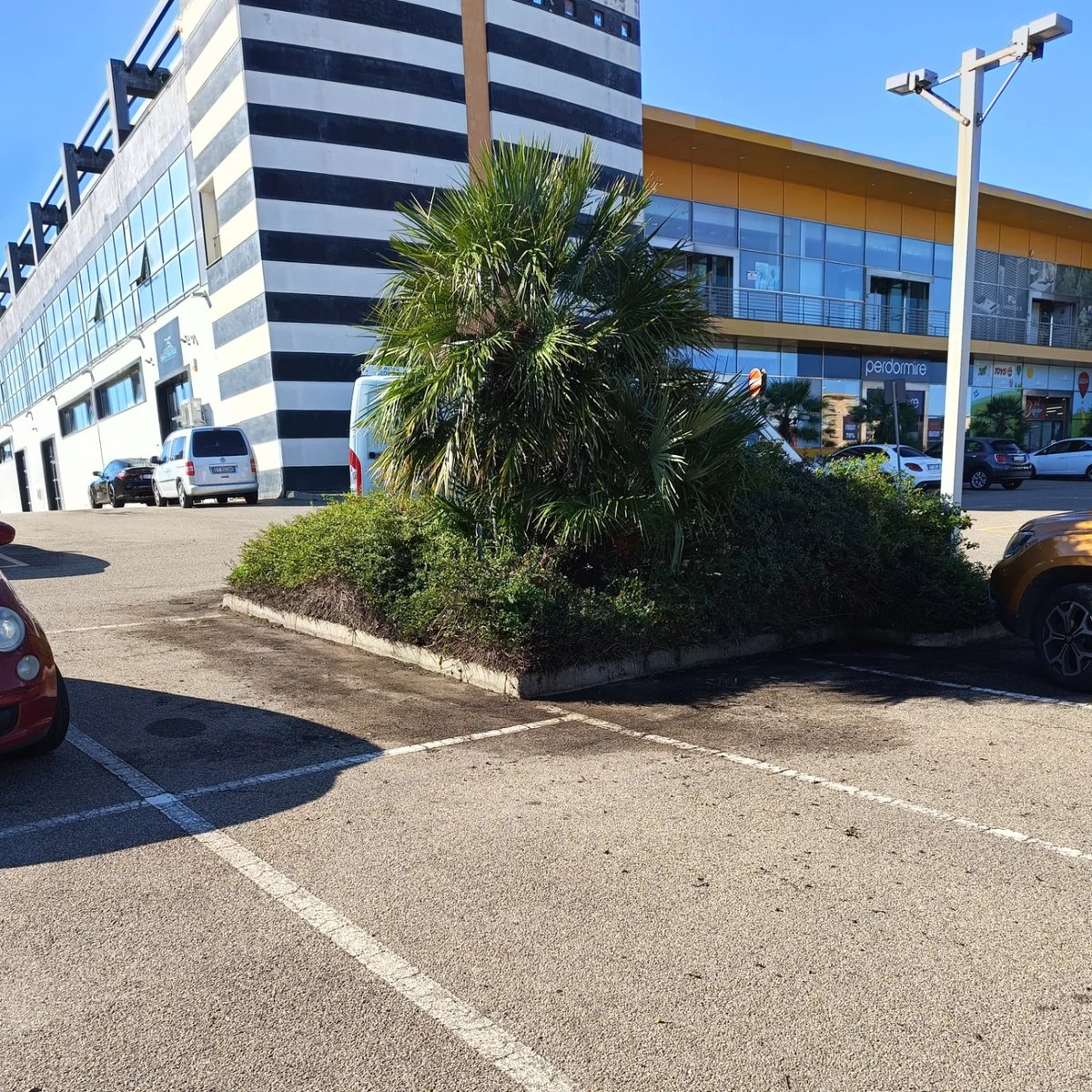 auroservicesrls's tweet photo. Sistemazione centro commerciale

Contattaci per un preventivo:

https://t.co/yU8RQjkDBz...

auroservicesrls@gmail.com
#pulizia #Cagliariprovincia #Cagliari #centrocommerciale #pulizie #giardinaggio #agenziadipulizie #areecomuni https://t.co/uaE72Ljywh