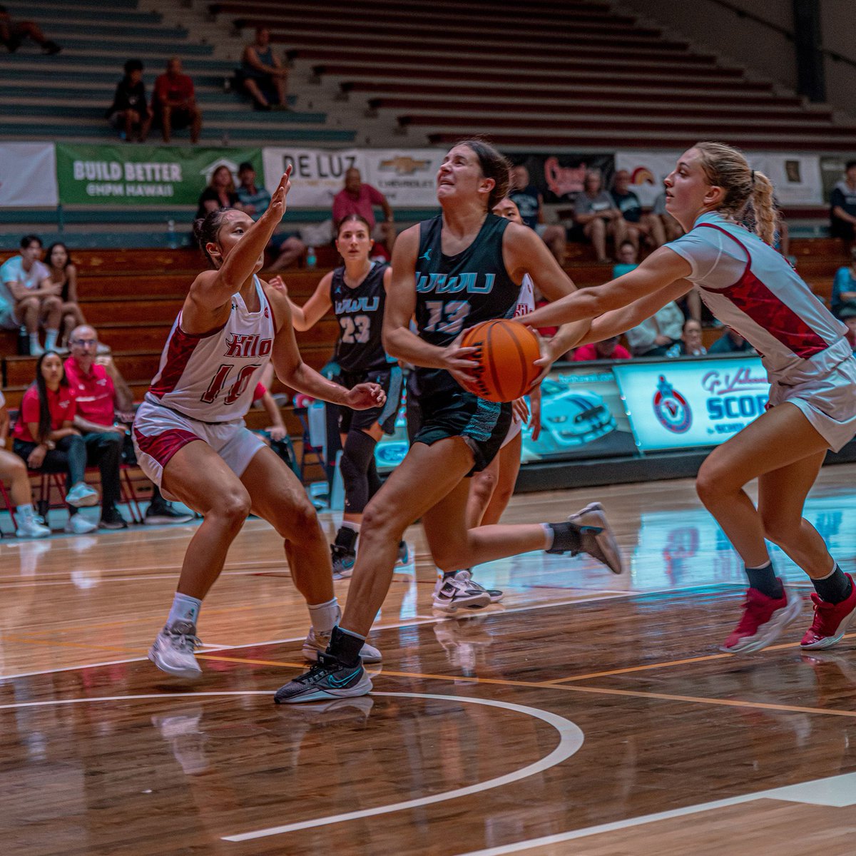 TitletownEvents's tweet photo. Game 9 Recap
πΈ Photo Highlights from Game 9 πΈ
An intense battle between Western Washington Vikings βοΈ and UH Hilo Vulcans π at the Big Island Classic!
π Stay tuned for more action as the tournament continues.
#BigIslandClassic #WomensBasketball #PhotoRecap https://t.co/LsUa9RNEyL