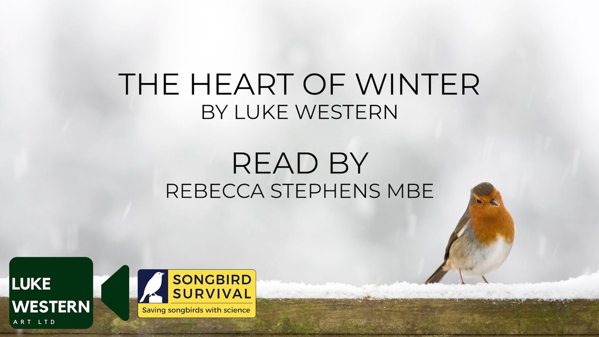 Take two minutes to watch ‘The Heart of Winter’. Written and created by @lukewesternart, performed by someone who knows the cold better than most, the first British woman to summit Mount Everest and the Seven Summits, Rebecca Stephens MBE @rebeccastephensofficial
