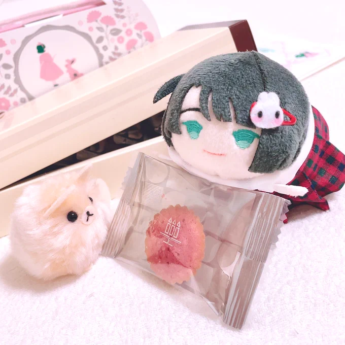 最高に素敵なこあらちゃん便がじょじの元に届きましたじょじも大喜びしています。ねこちゃんと一緒に記念撮影ですこあらちゃん、どうもありがとう
