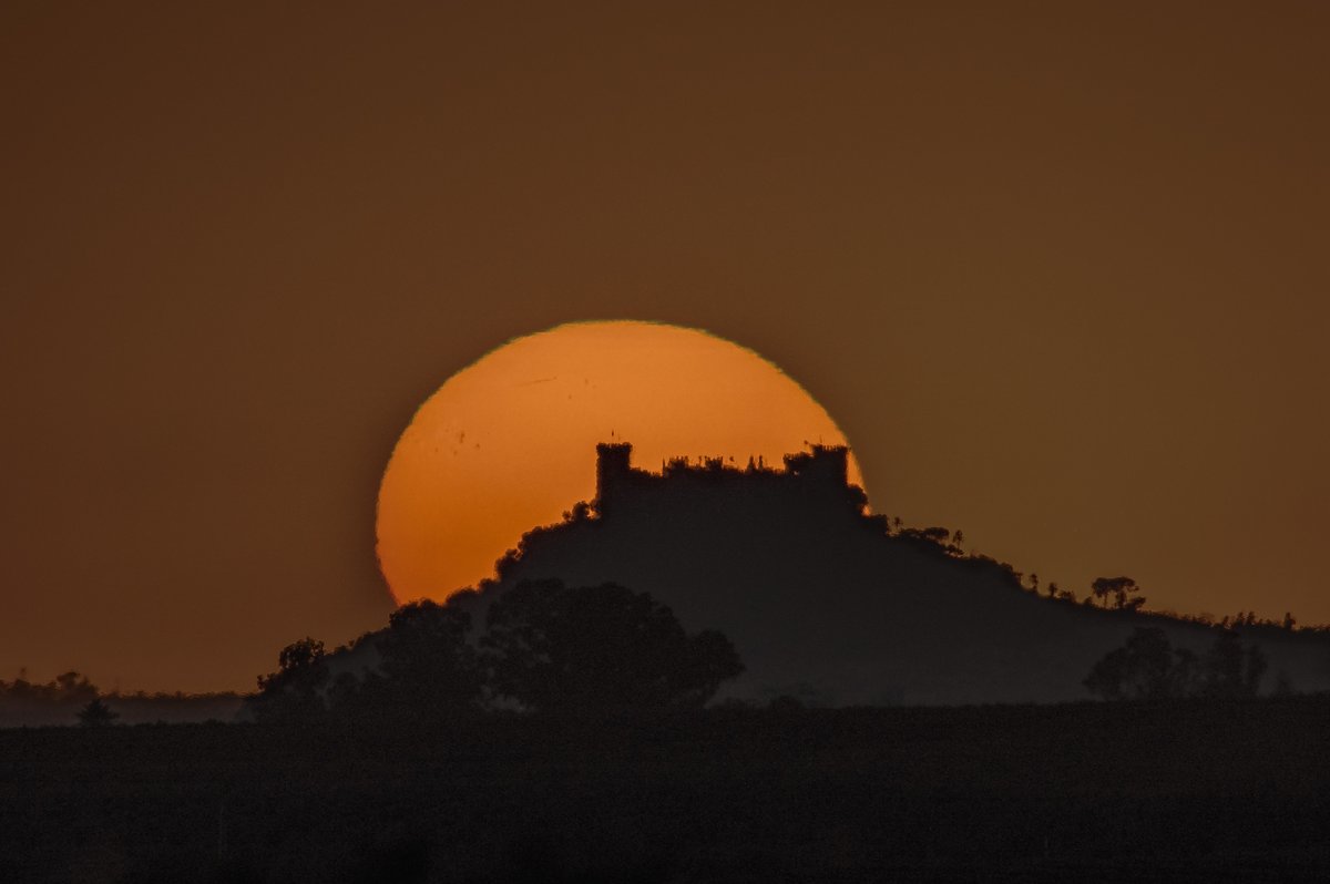 Pedro Mengual tweet media