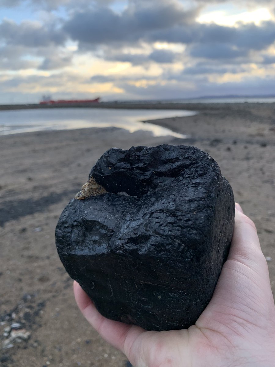 JonKiddd's tweet image. Collecting another batch of sea coal for Christmas Day warmth