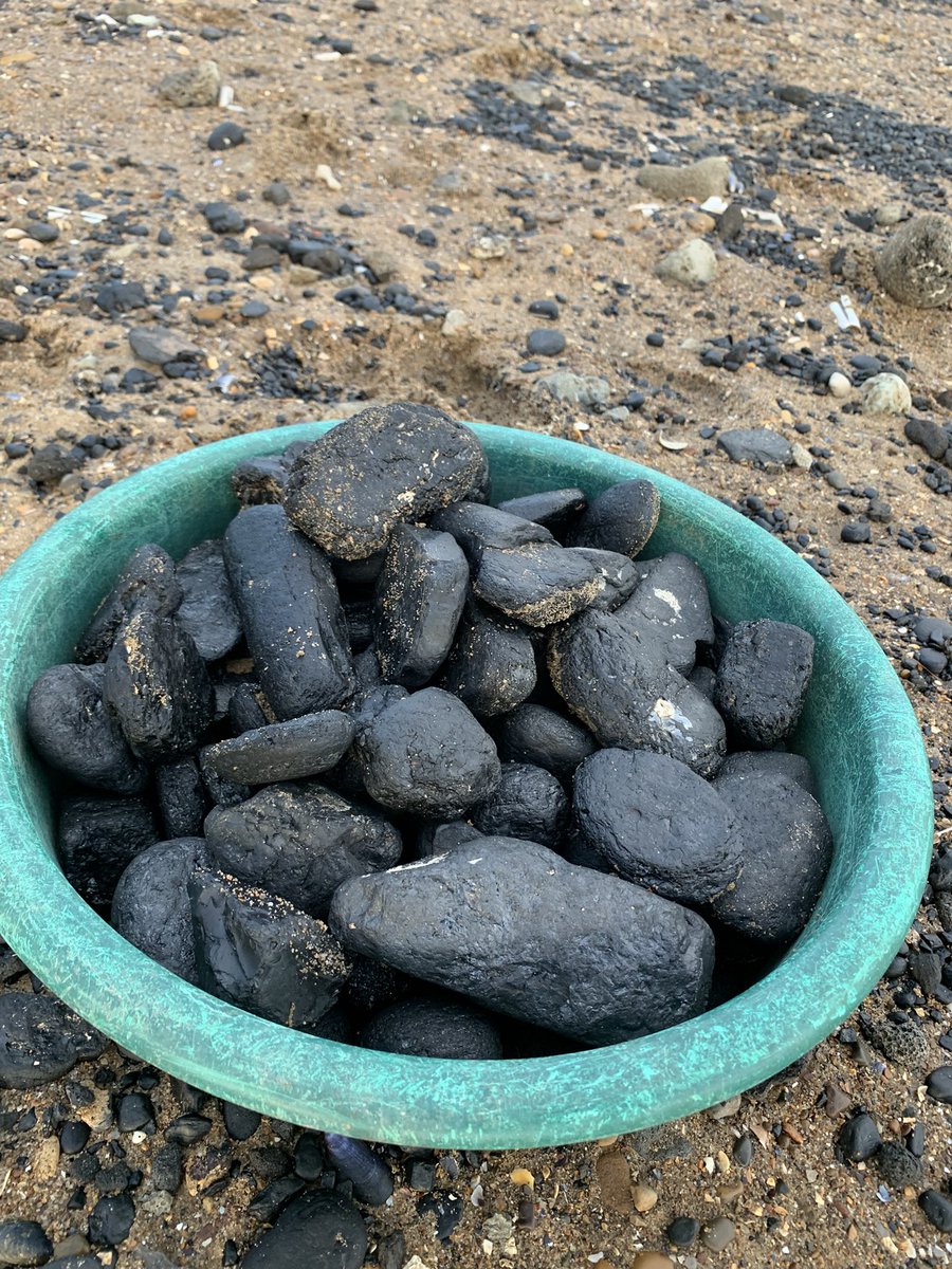 JonKiddd's tweet image. Collecting another batch of sea coal for Christmas Day warmth