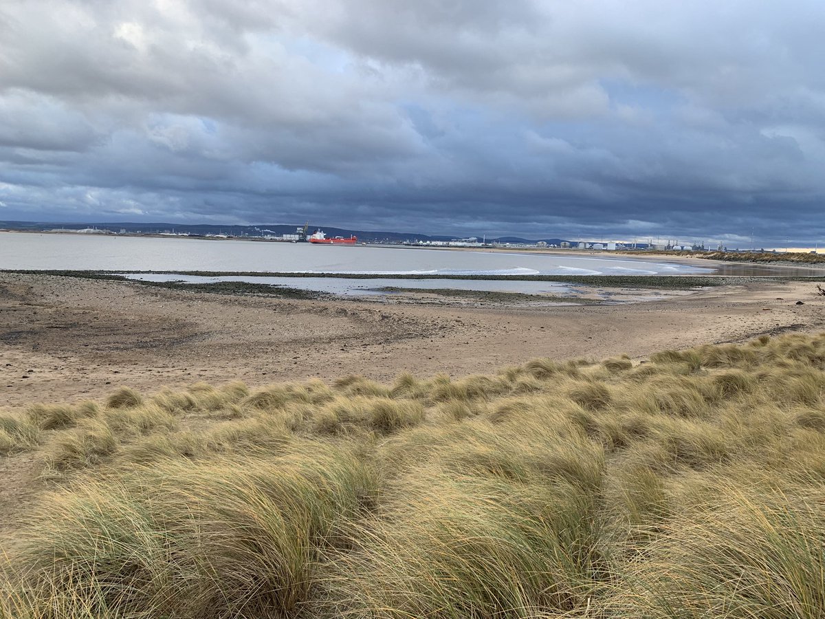 JonKiddd's tweet image. Collecting another batch of sea coal for Christmas Day warmth