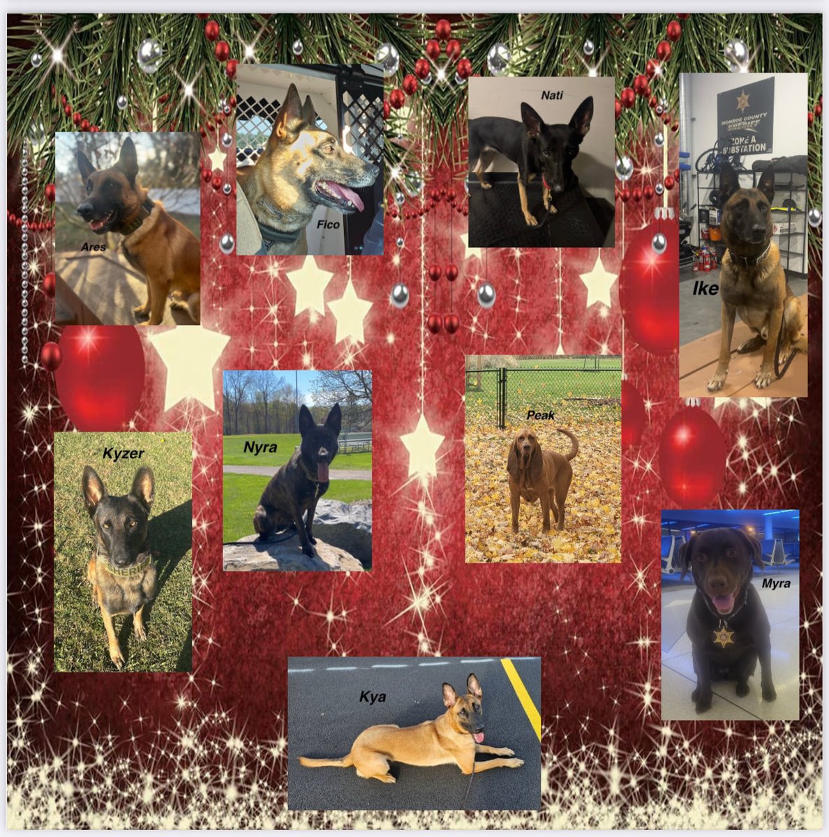 CrimeStoppersK9's tweet image. Wishing everyone a pawsitively happy holiday! 💙🐾 #SantaPaws #K9 ⁦@monroesheriffny @RochesterNYPD @nyspolice @Brighton_Police @GatesPolice @IrondequoitPD  @GreecePoliceNY @WebsterNYPolice @FairportPolice @ERPoliceNY ⁦@ROCHNYCRIMEINFO⁩ @CountryMax @VisionsFCU