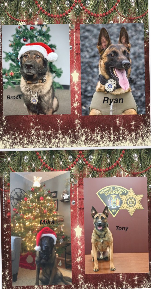 CrimeStoppersK9's tweet image. Wishing everyone a pawsitively happy holiday! 💙🐾 #SantaPaws #K9 ⁦@monroesheriffny @RochesterNYPD @nyspolice @Brighton_Police @GatesPolice @IrondequoitPD  @GreecePoliceNY @WebsterNYPolice @FairportPolice @ERPoliceNY ⁦@ROCHNYCRIMEINFO⁩ @CountryMax @VisionsFCU