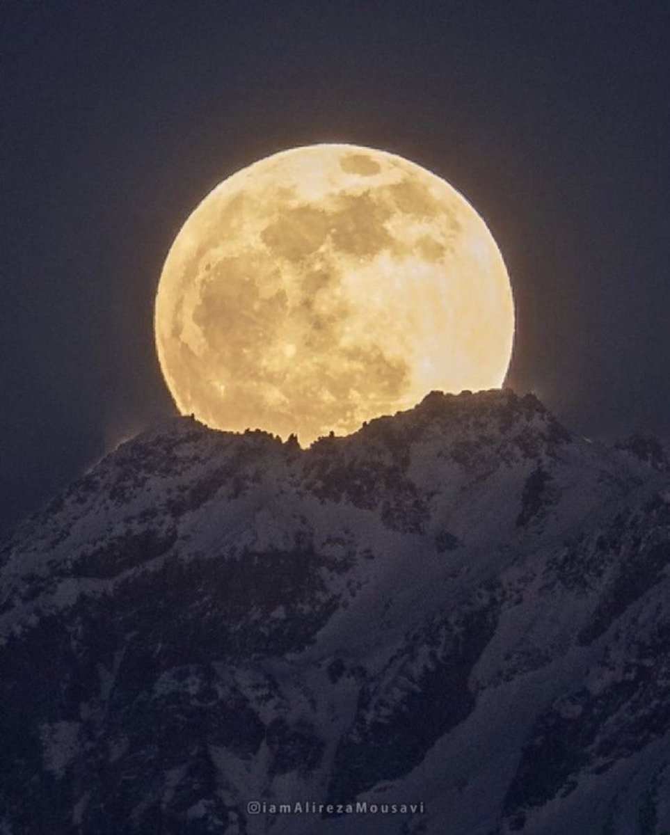 MOON LOVER tweet media