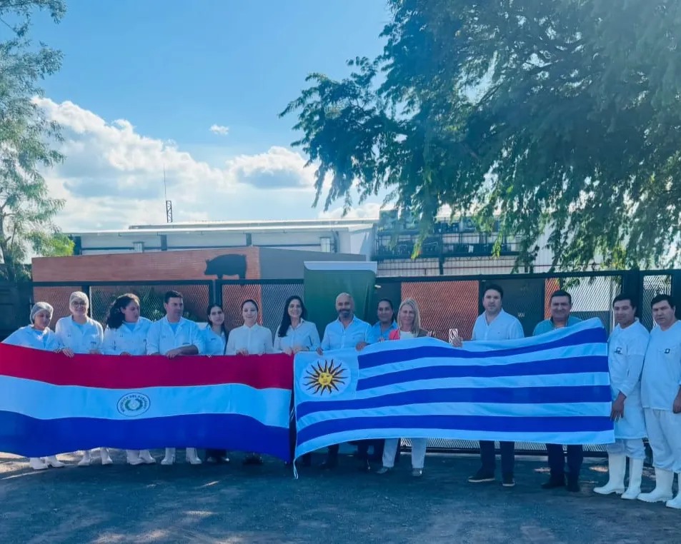 Inspectores del Ministerio de Ganadería, Agricultura y Pesca de la República Oriental del Uruguay realizaron una auditoría al matadero frigorífico Pirayú N° 422, para otorgar la habilitación de exportación productos de origen porcino a ese destino.