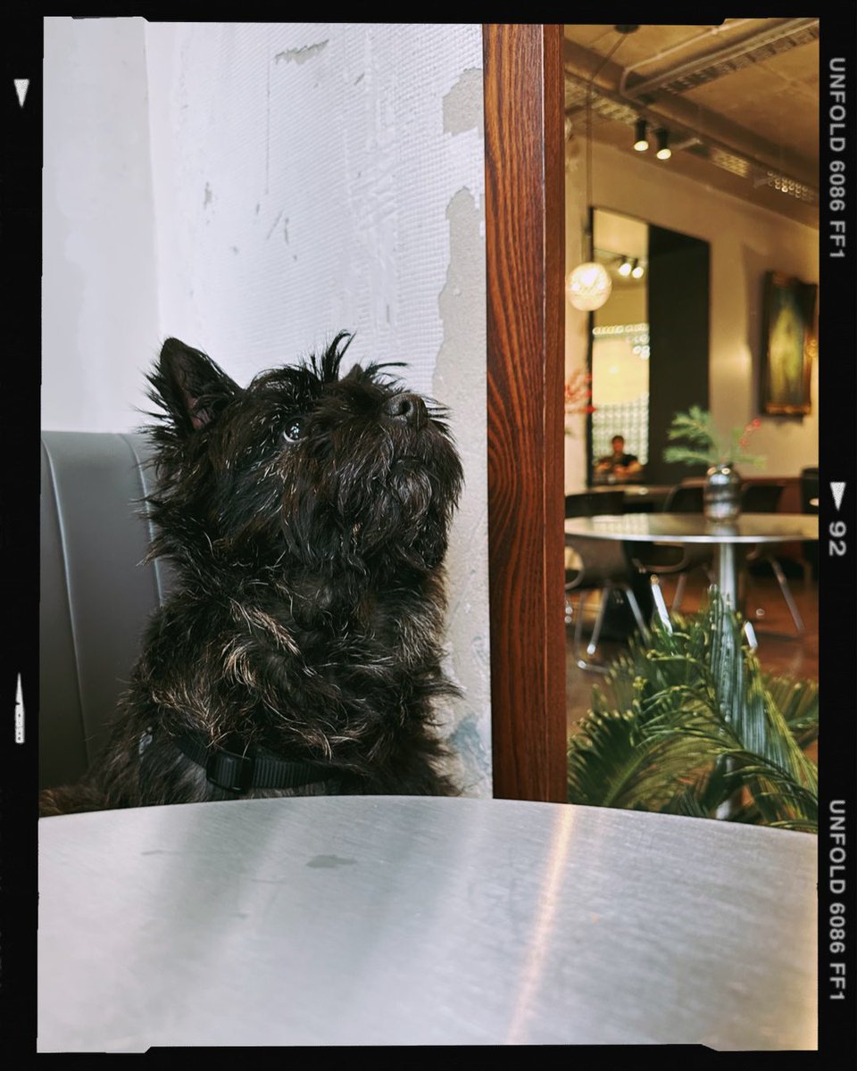 Dreaming my dreams #Goosley