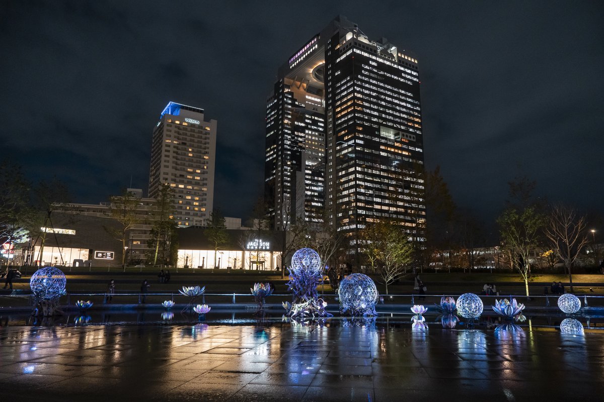 グラングリーン大阪
芝生広場 水盤にて作品を展示しております。
絶賛開催中です✨
＜展示期間＞ 12月7日（土）～2025年1月26日（日）
※点灯時間　17:00～24:00
※12/31-1/1は不点灯
＜展示場所＞ うめきた公園サウスパーク
Photo : <a href="/PetaPhotoStudio/">Peta</a> 
#グラングリーン #うめきた #イルミネーション