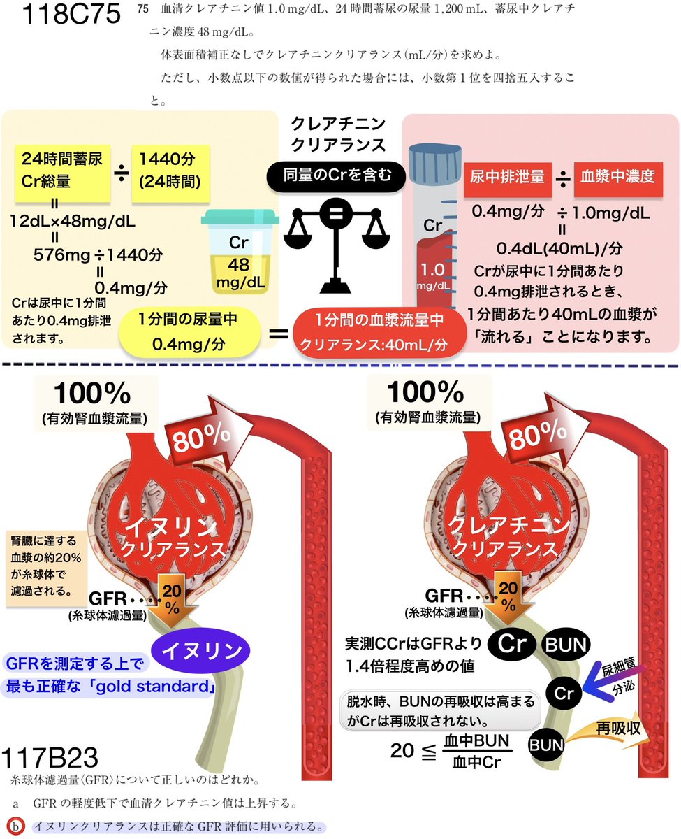 クレアチニンクリアランスとイヌリンクリアランスの違いを理解するのは重要です！
117回・118回で出題されています！
for-good.net/project/1001474