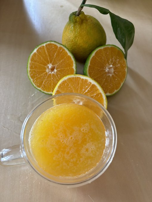 🍊🍊🍊🍊🍊🍊🍊🍊🍊🍊🍊🍊