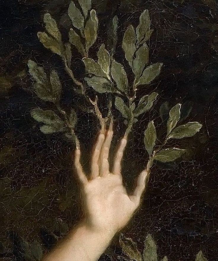 victoriamolcc's tweet photo. "A Dafne ya los brazos le crecían y en luengos ramos vueltos se mostraban, en verdes hojas vi que se tornaban los cabellos que el oro oscurecían"

Fragmento del Soneto XIII de Garcilaso de la Vega y detalles de dos versiones plásticas del mito de Apolo y Dafne. https://t.co/dlw5GUzhWb