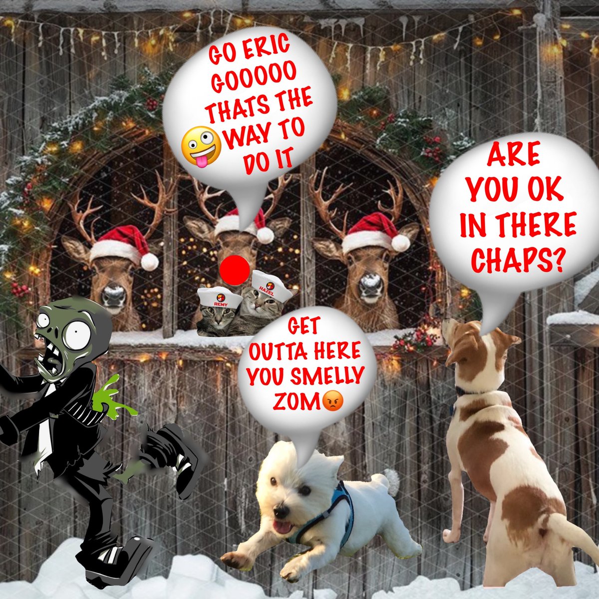 11 #zzst ##zshq 🎅🏽🧑🏽‍🎄🎅🏽🧑🏽‍🎄🎅🏽🧑🏽‍🎄🎅🏽🧑🏽‍🎄🎅🏽🧑🏽‍🎄
LOOKS LIKE RUDOLPH AND THE REINDEER ARE HAVING LUNCH IN THEIR  STABLE...

THOS BLOOMIN ZOMS EVEN BEEN IN THERE😡🤬

Go  get him ERIC.