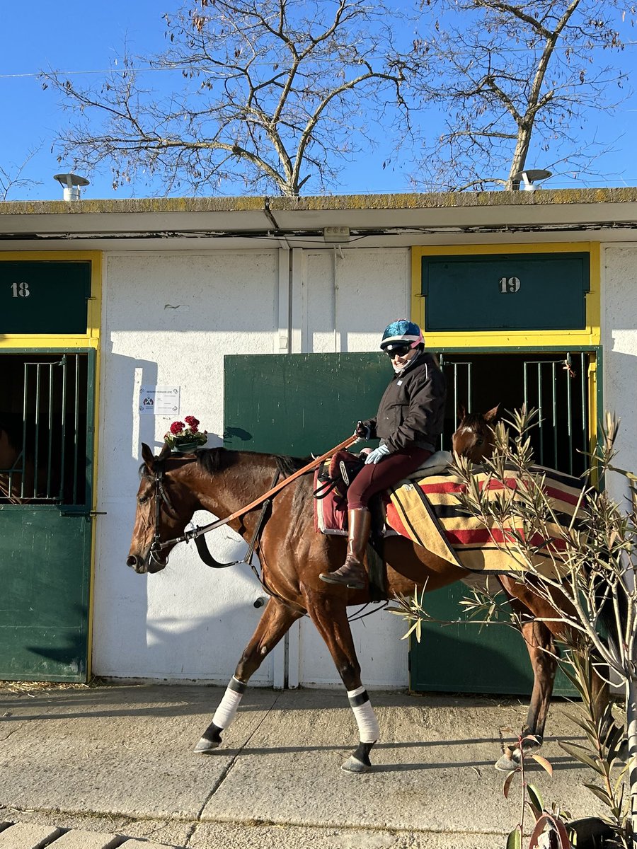 kilometro0_turf's tweet photo. Magnífica mañana invernal en el @HipodromoMadrid , con un precioso galope de entrenamiento de Almansa, y rematada con un fantástico desayuno navideño con todo el equipo de @RMARacingHorses . Gracias por vuestro trabajo y cariño. https://t.co/5UuUQRwGe5