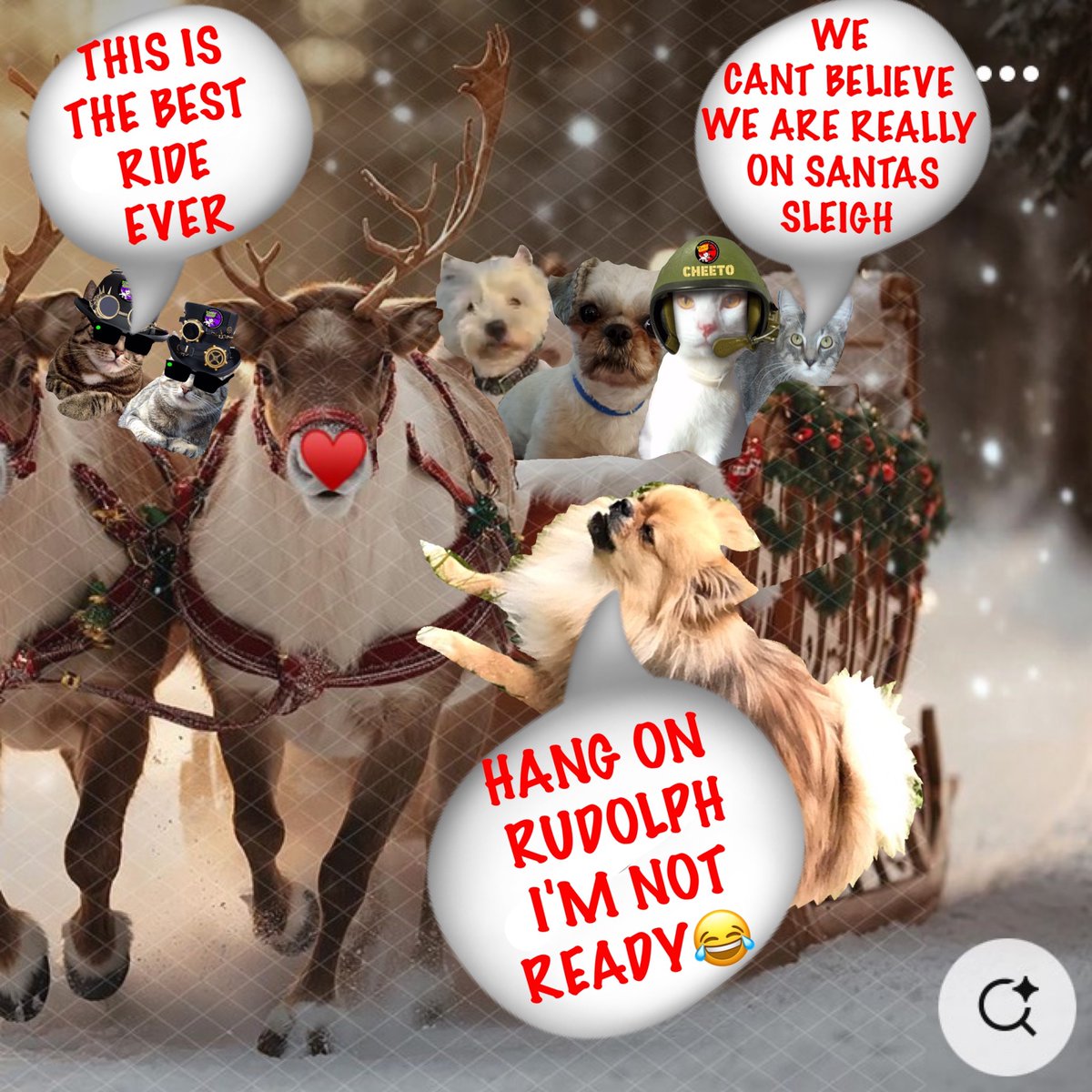 12  #zzst  #zshq 🧑🏽‍🎄🎅🏽🧑🏽‍🎄🎅🏽🧑🏽‍🎄🎅🏽🧑🏽‍🎄🎅🏽🧑🏽‍🎄🎅🏽
WELL THEY SAID CLIMB ABOARD THEN TOOK OFF AT A OACE 😂😅🤣😂😅    I ONLY GOT SHORT LEGGS HANG ON-------😅🤣😂