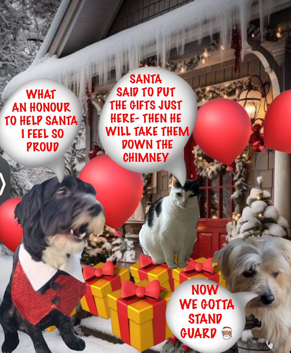 13 #zzst #zshq 🎅🏽🧑🏽‍🎄🎅🏽🧑🏽‍🎄🎅🏽🧑🏽‍🎄🎅🏽🧑🏽‍🎄🎅🏽🧑🏽‍🎄
YEPP BE ALERT    DONT LET THOSE ZOMBIES TAKE ANY OF THOSE GIFTS  THEY  ARE FOR THE KITTENS &amp; PUPPIES