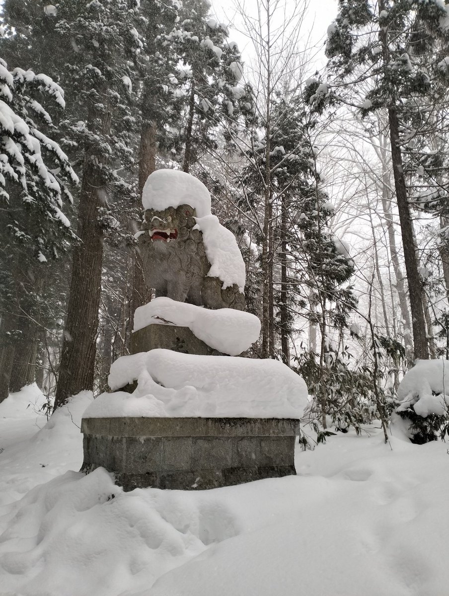 Rick_drk's tweet photo. @NiaHoshineko Mi primera temporada de nieve.
Tiene que estar en tu arbol. https://t.co/AWHrLFqTTJ