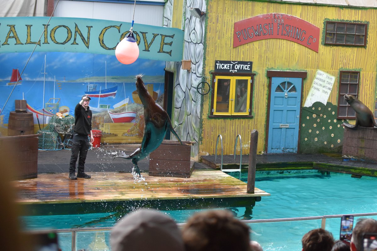 SAVERA UK tweet media