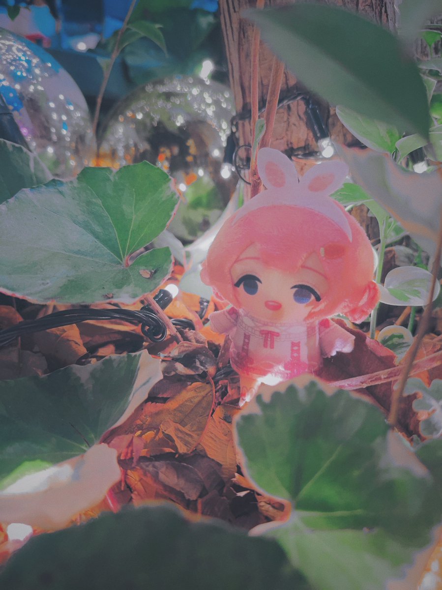 🎄

#ンゴサ 
#ンゴンゴ今日も可愛いンゴ
#にじぱぺっとが見られるタグ