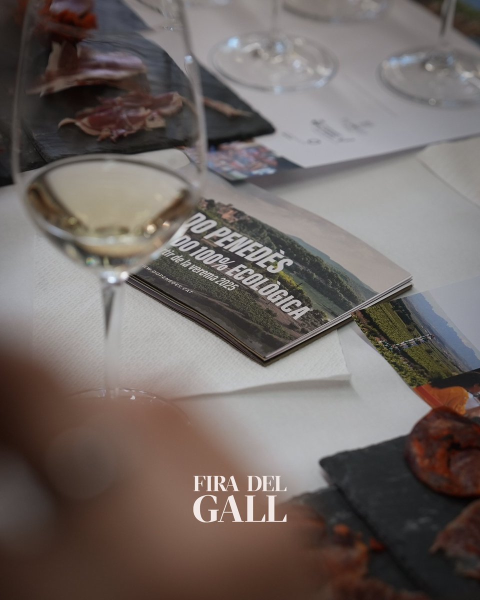 La Fassina acull diferents tastos gastronòmics, organitzats per la DO Penedès i l'Acadèmia Tastavins. 

#firadelgall #firadelgall24 #vilafrancadelpenedès #vilafranca #penedès #capitaldelvi #galldelpenedès #gastronomia #vi #vicatalà #dopenedès #elgallliner #turismevilafranca