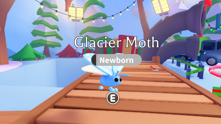 okimfinemaybe's tweet photo. glacier moth giveaway!

rules:

follow me

like and retweet

ends in 3 days

kw:roblox robux rbx gw royale high adopt me mm2 rh rhd dims diamonds mfr nfr n m fly ride mega high tier set sets halo halos rare item items weapons amp pets fr f r weapon chroma chromas 

good luck! https://t.co/XA77Z2BFYf