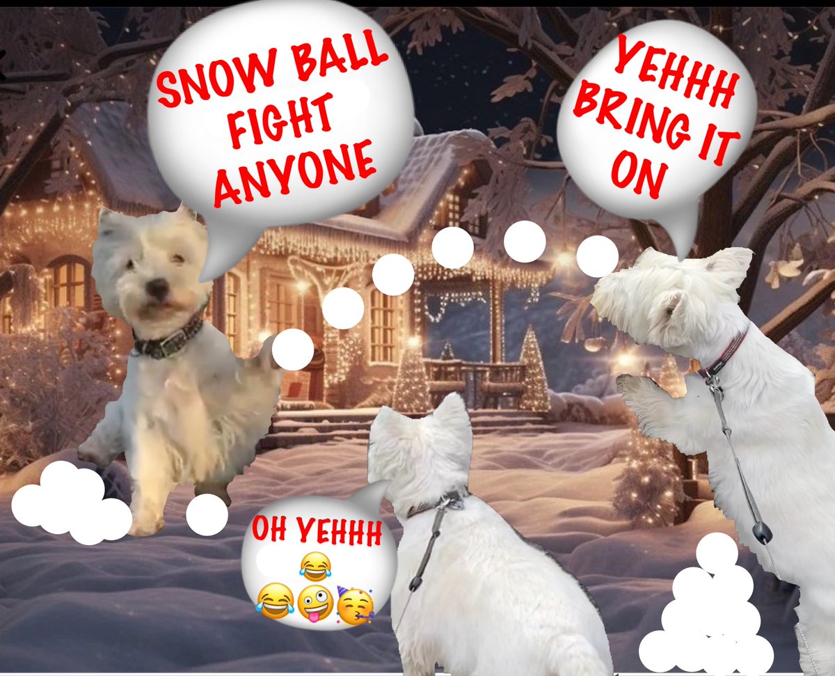 17 #zzst  #zshq 🧑🏽‍🎄🎅🏽🧑🏽‍🎄🎅🏽🧑🏽‍🎄🎅🏽🧑🏽‍🎄🎅🏽🧑🏽‍🎄🎅🏽
OH YEHHHHH SNOWBALL FIIGHT IS MUCH MORE FUN   😂🤣😅😂😮‍💨
AT THE NORTH POLE