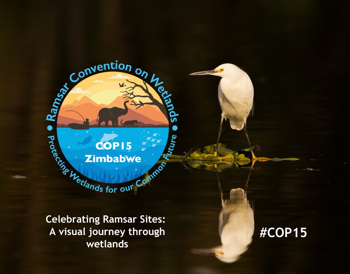 Wetlands play an irreplaceable role in environmental health. The #RamsarSites photo exhibition will be showcased at #COP15Zimbabwe, celebrating the beauty and importance of Wetlands of International Importance worldwide.

Submit your photos today!

ramsar.org/invitation-sub…