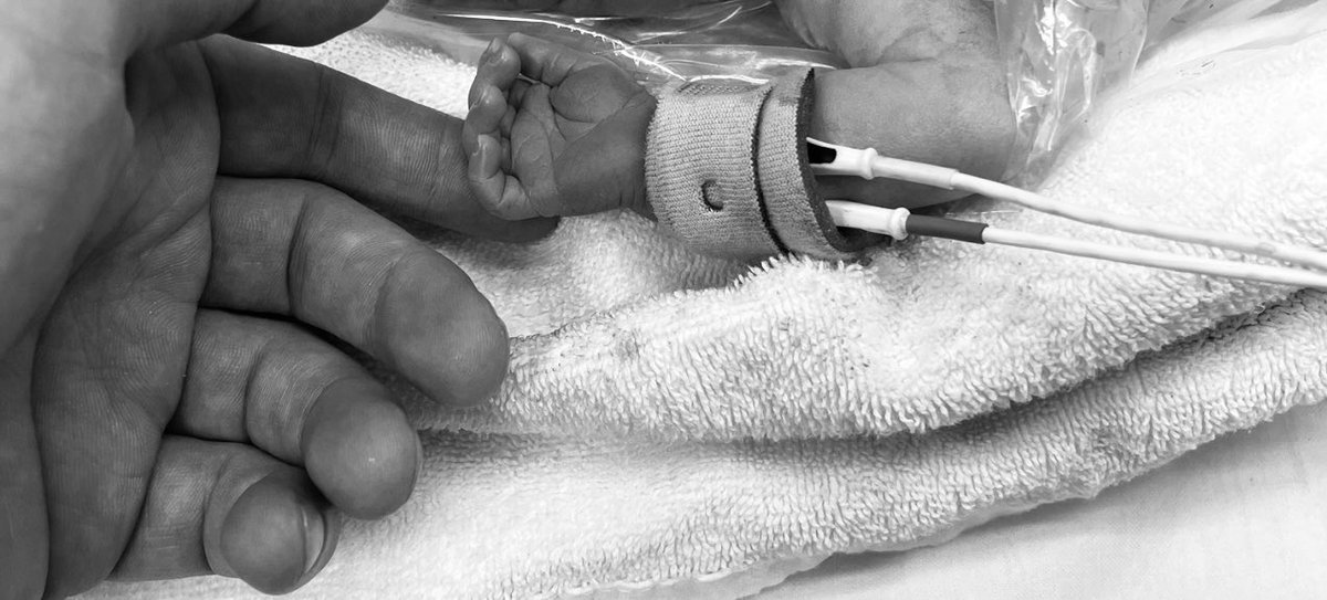 Lewis Briggs tweet media