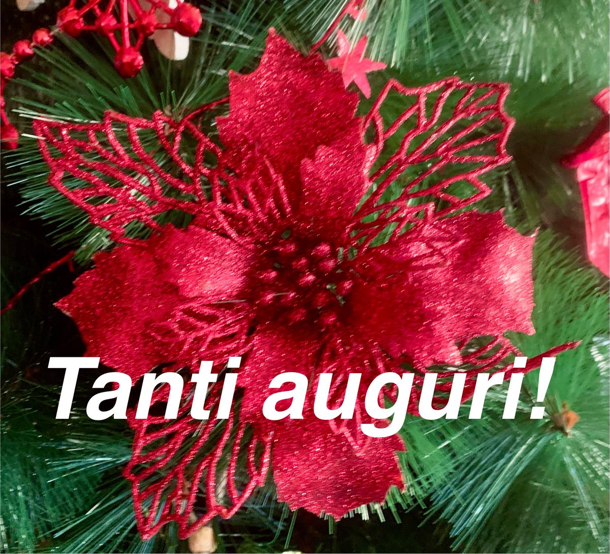 Tanit srl (@tanitsrl) on Twitter photo 