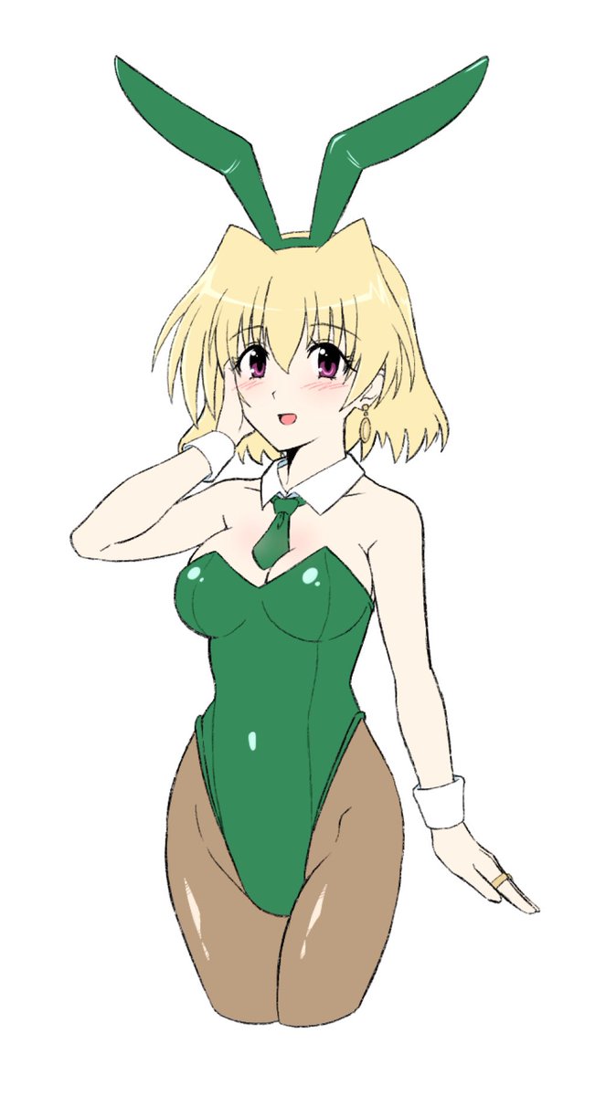 シャマルさんです
リリカルなのはのキャラで1番好きです 