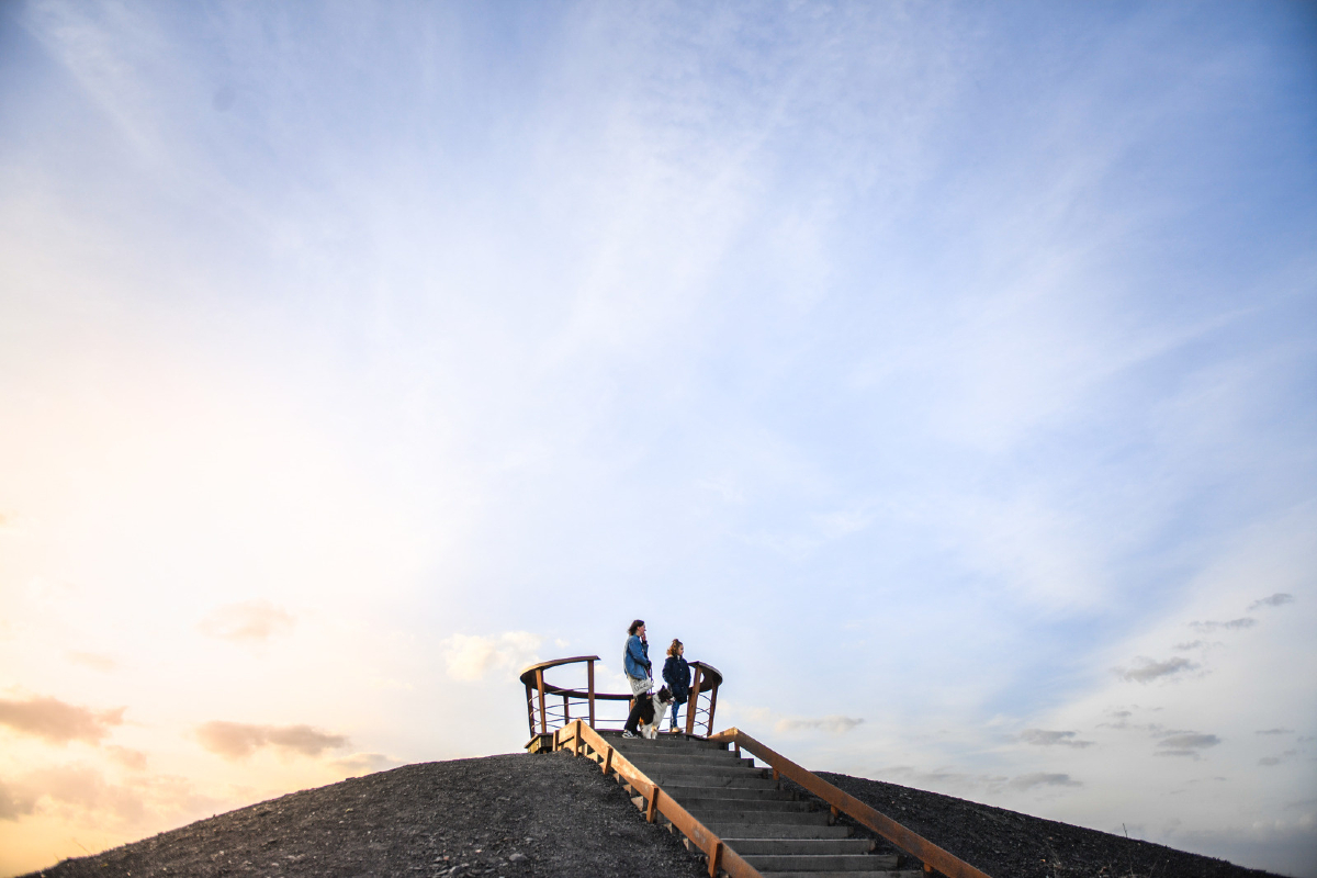 pasdecalais62's tweet photo. 🌟Le projet des #terrils du #PasdeCalais a été sélectionné pour le Grand Prix National du Paysage de la revue 𝐔𝐫𝐛𝐚𝐧𝐢𝐬𝐦𝐞 ! Le jury a salué ce projet pour son harmonie, sa sobriété et son inscription dans le paysage de l'ex-bassin houiller 🏆👏👏 https://t.co/yRCdn3a6MA