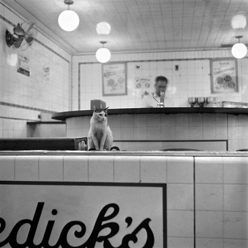 Eric Schwab - A cat sits in an empty night bar on Broadway, at four o'clock in the morning ,1947, New York.